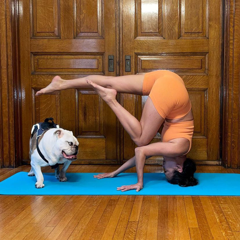 How to Live a Yoga Lifestyle? – Heathyoga