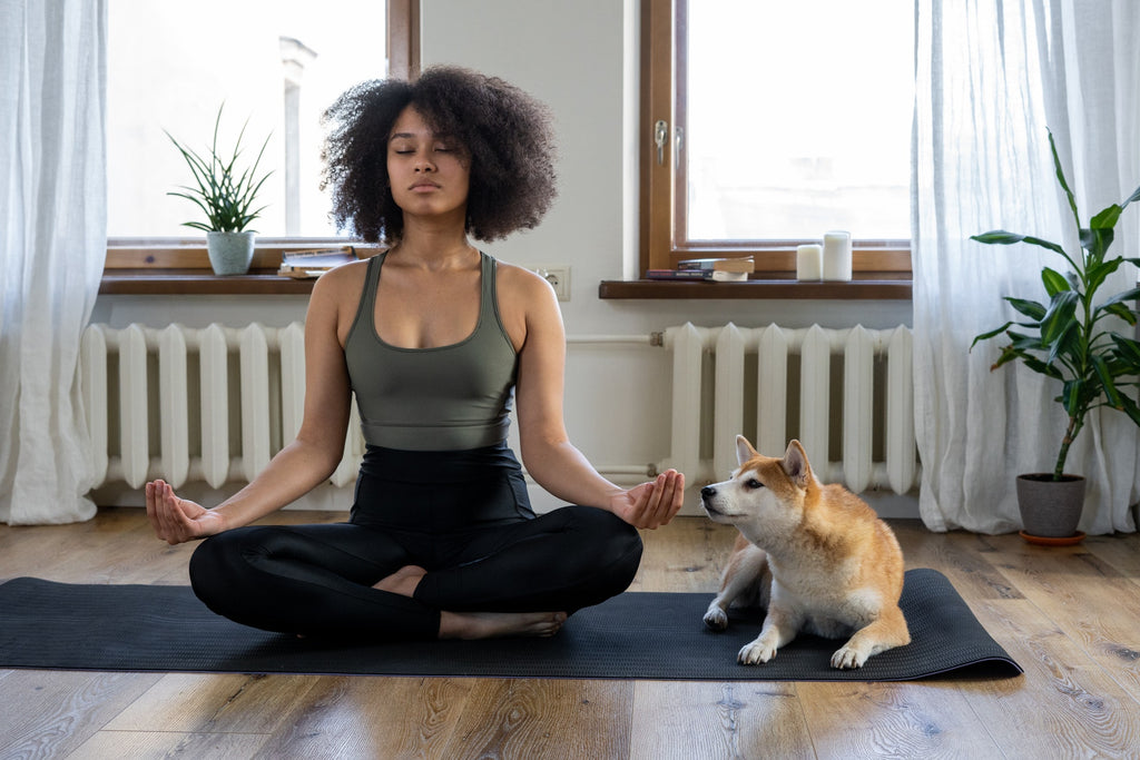 Bedtime Meditation: Why It Works & How to Do It