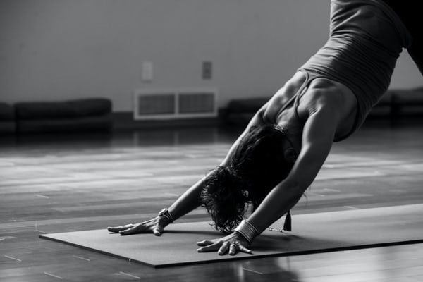 Hatha Yoga vs Vinyasa: Know the Difference